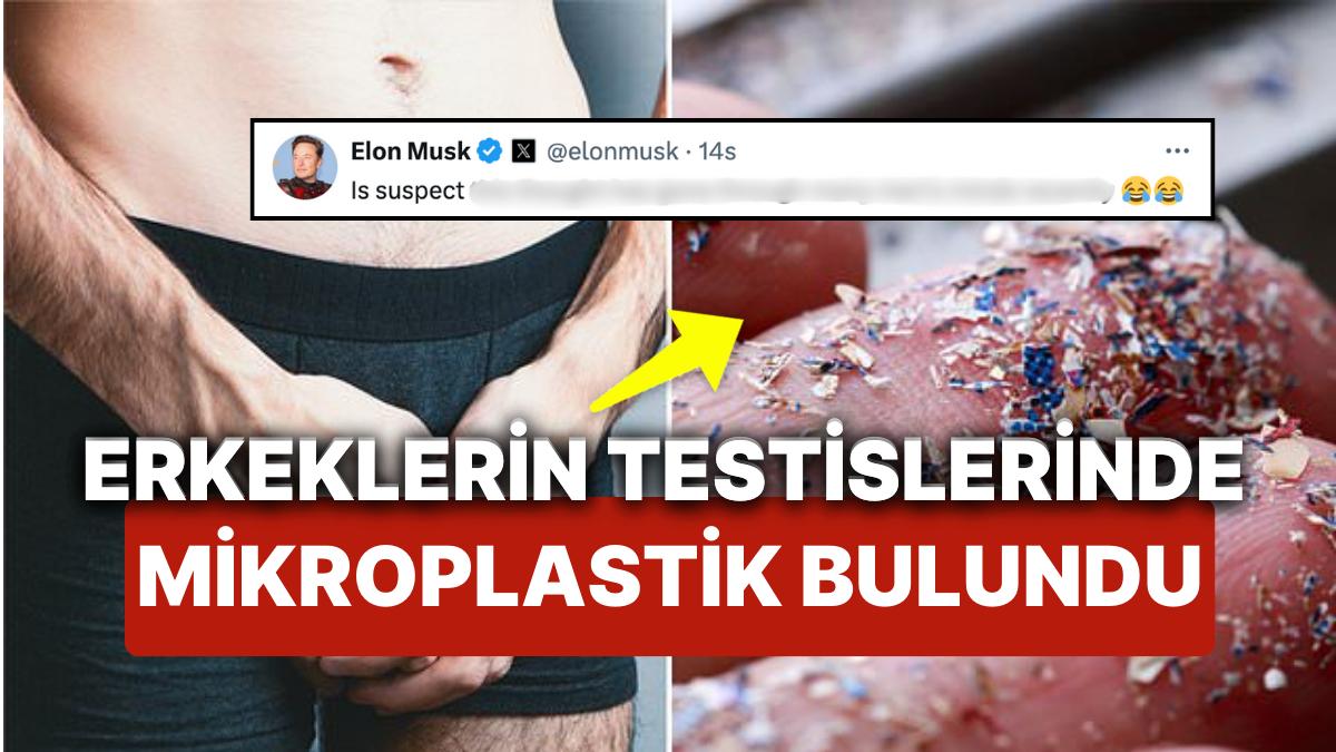 erkeklerin-testislerinde-mikroplastik-bulundu-bilim-dunyasinin-son-kesfi-toplumsal-medyada-da-ses-getirdi-bVVEaW8v.jpg