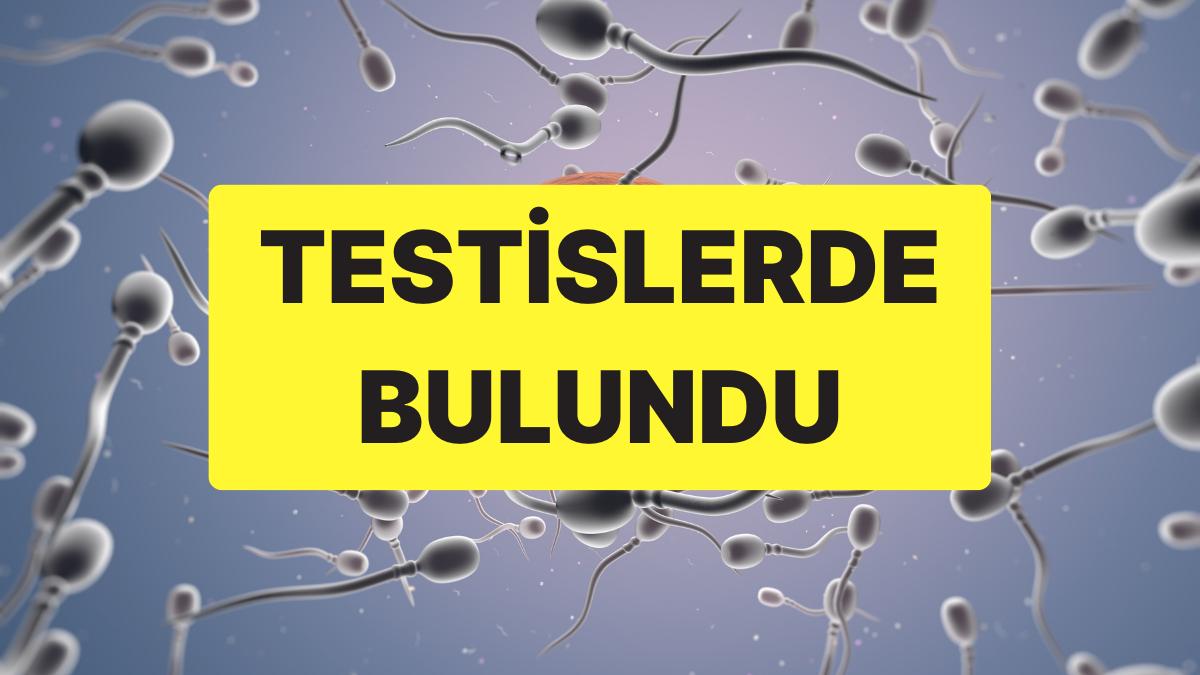 sperm-kalitesini-dusuruyor-insan-testislerinde-mikroplastik-bulundu-Nxld7pJb.jpg